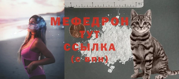 mdpv Вяземский