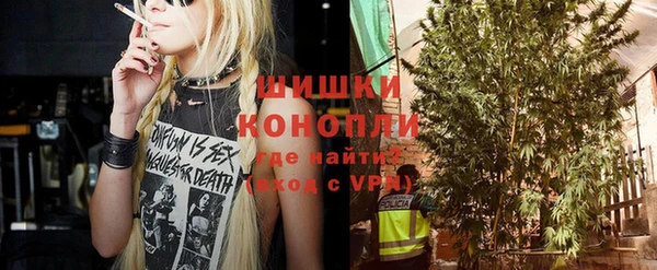 mdpv Вяземский