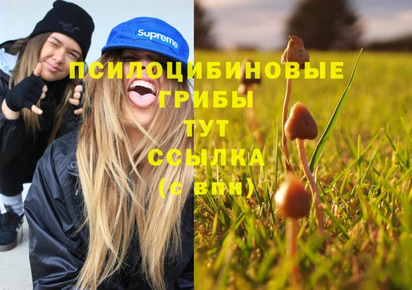 герыч Вязьма