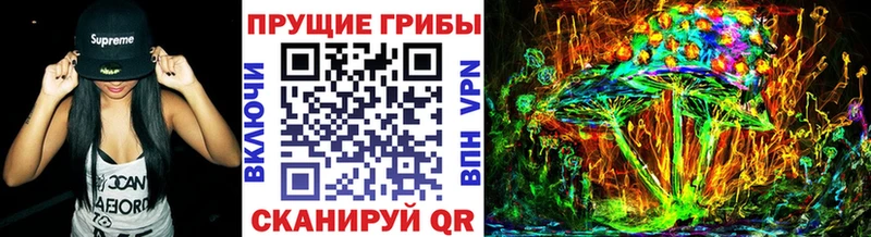 сколько стоит  Новокузнецк  Псилоцибиновые грибы Psilocybe 